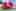 Container IMG 0921